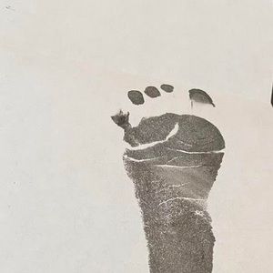 Meet your Posher, Robin